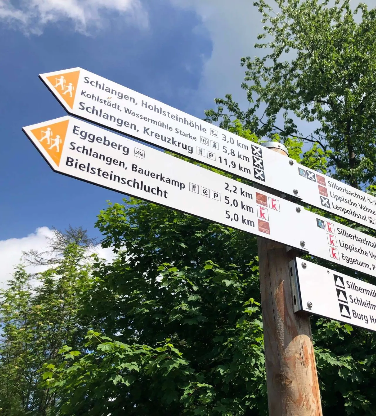 Beratung & Qualitätsentwicklung